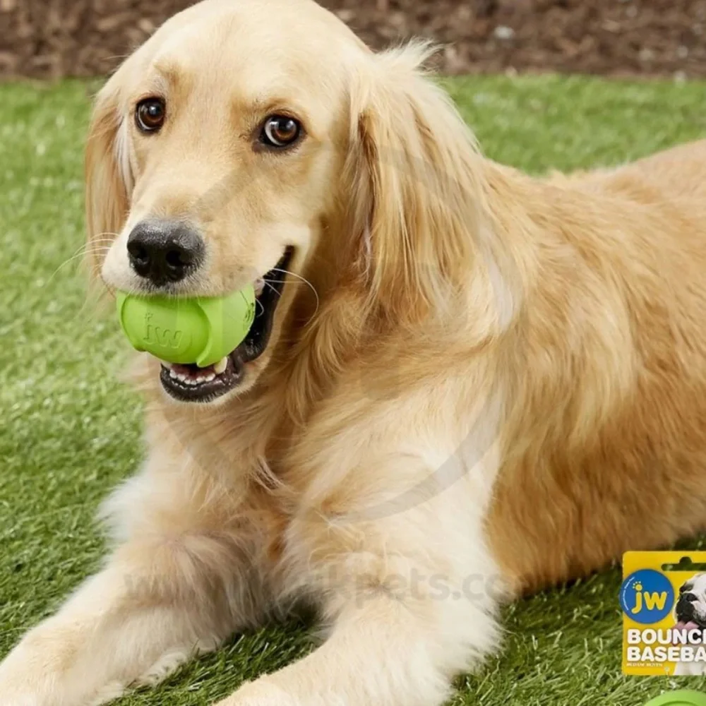 JW Pet Company chosen as